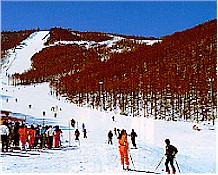 ski.jpg (24596 oCg)
