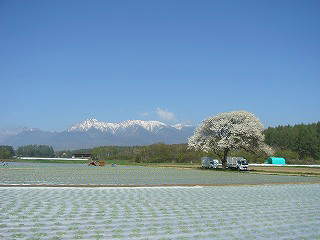 野辺山 ペンションさんかくじょうぎ 散歩道から八ケ岳を見て