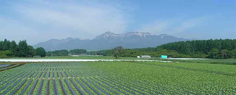 八ケ岳 野辺山 ペンションさんかくじょうぎ 徒歩1分散歩道からの八ケ岳