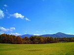 長野県野辺山高原　ペンションさんかくじょうぎ牧草地が広がる散歩道